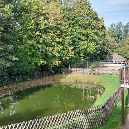 Ferienwohnung Teichblick Freiberg Exterior foto