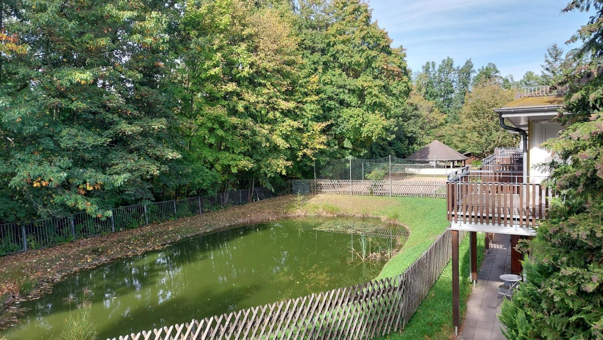 Ferienwohnung Teichblick Freiberg Exterior foto